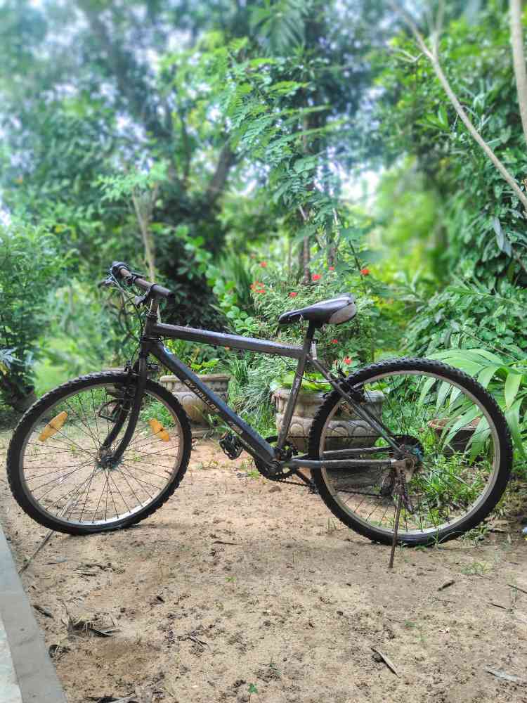 Mountain bike