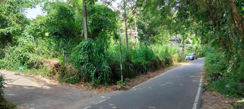 Land for sale in mawanella