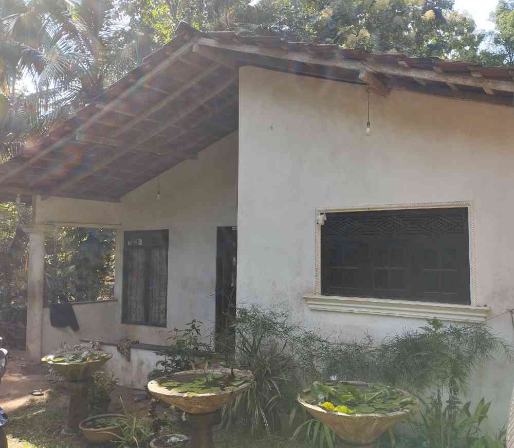 House for sale in narammala