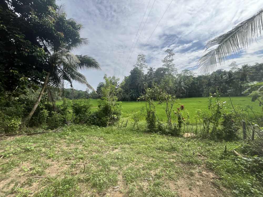 Land for sale in ahangama