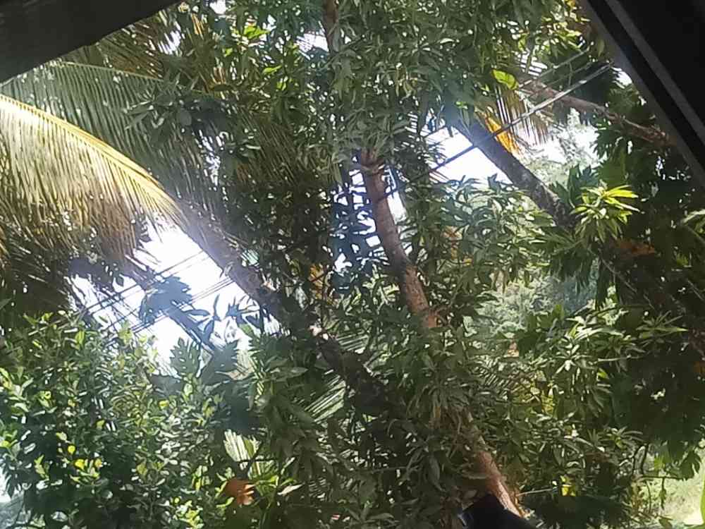 Land for sale in hakmana