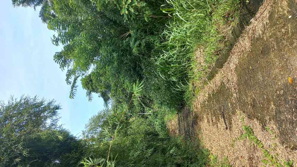Land for sale in galle