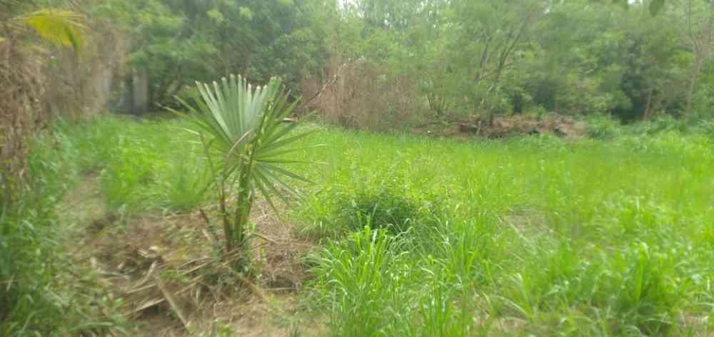 Land for sale in anuradhapura