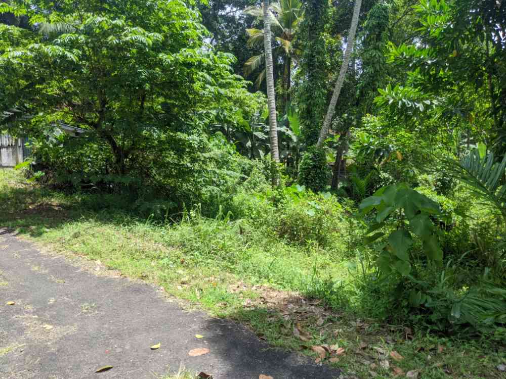 Land for sale in katugasthota ranawana