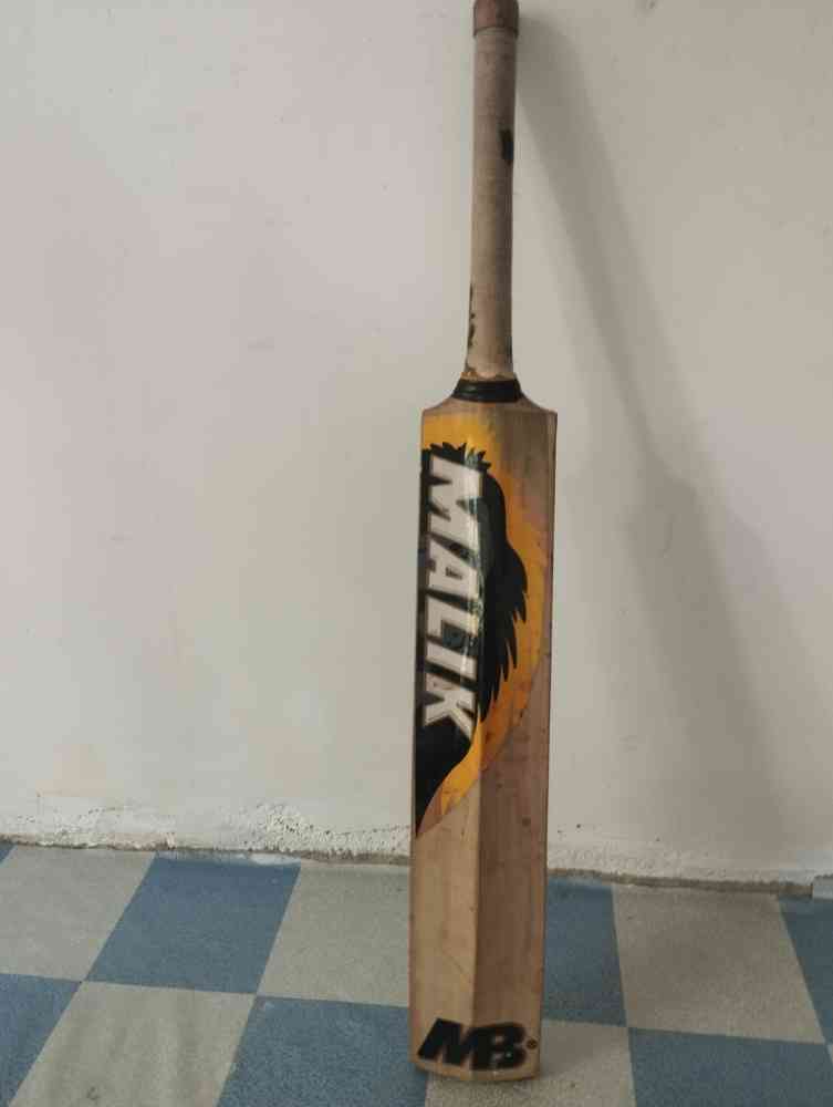 Cricket bat