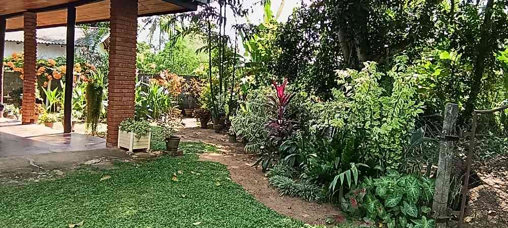 Old house sale for living or hotel premises