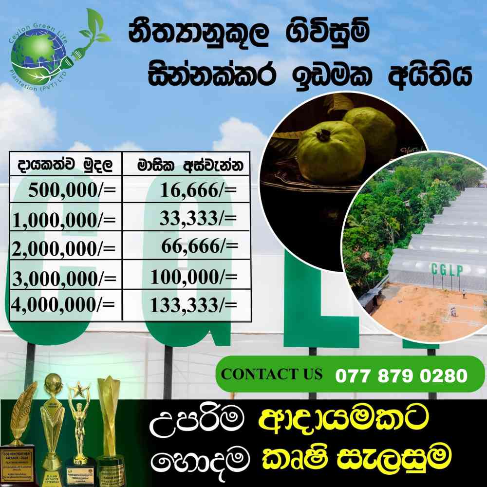 Investment plan