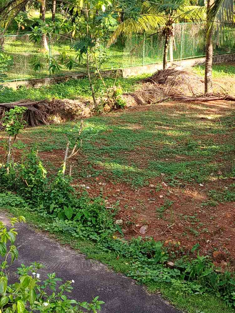 Land for sale in galle