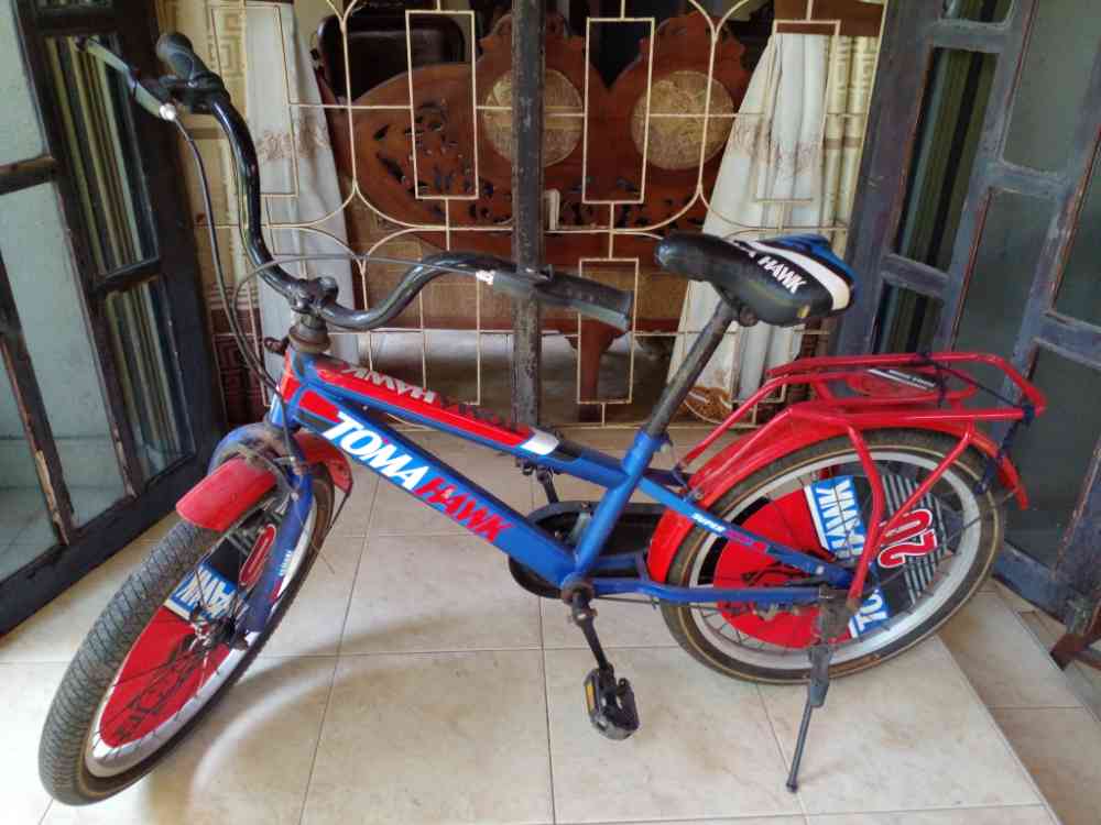 Tomahawk bicycle