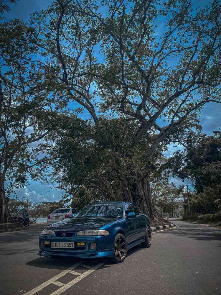 Toyota marino