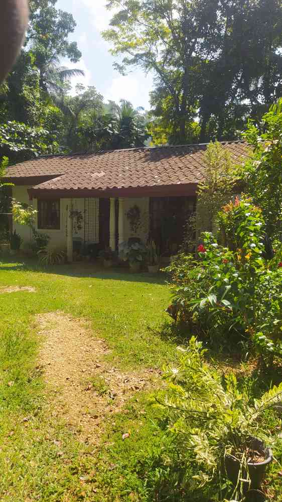 Land with house for sale