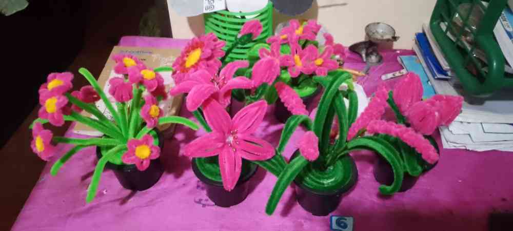 Anu craft