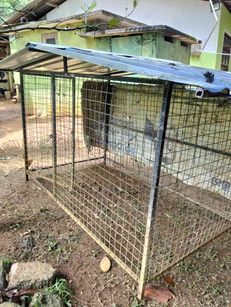 Dogs cage