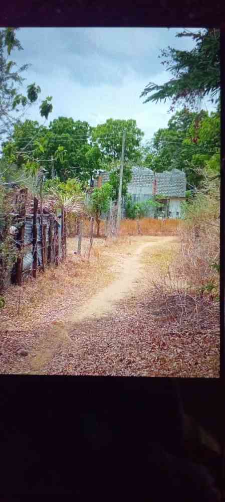 Land for sale in kataragama