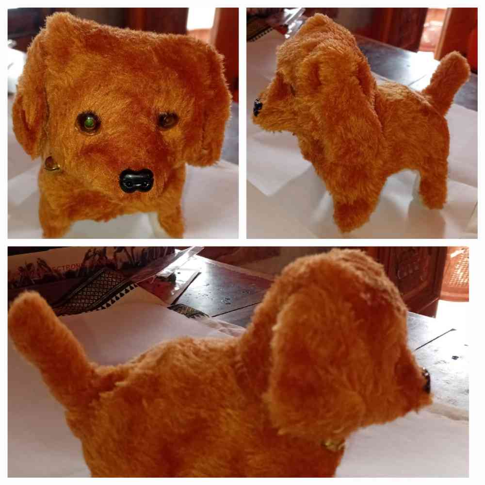 kids toy dog