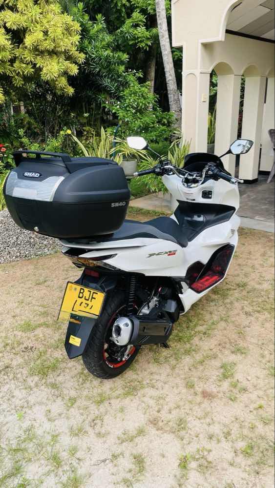 Honda PCX 160cc 2023