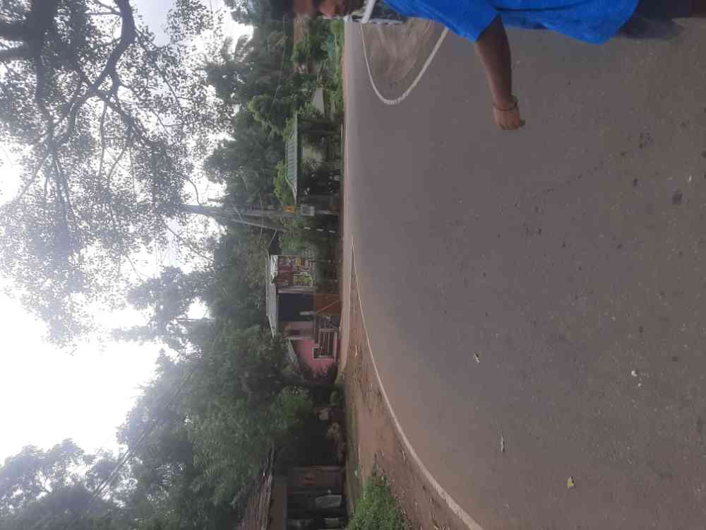 Land & house for sale nuwara eliya ragala
