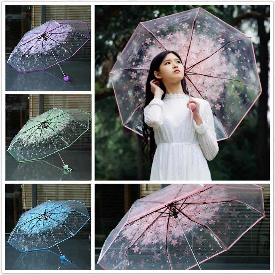 Transparent umbrella