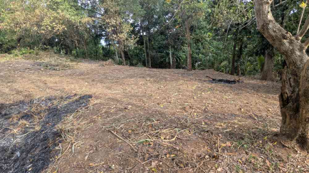 Prime land for sale ideal for home or investment