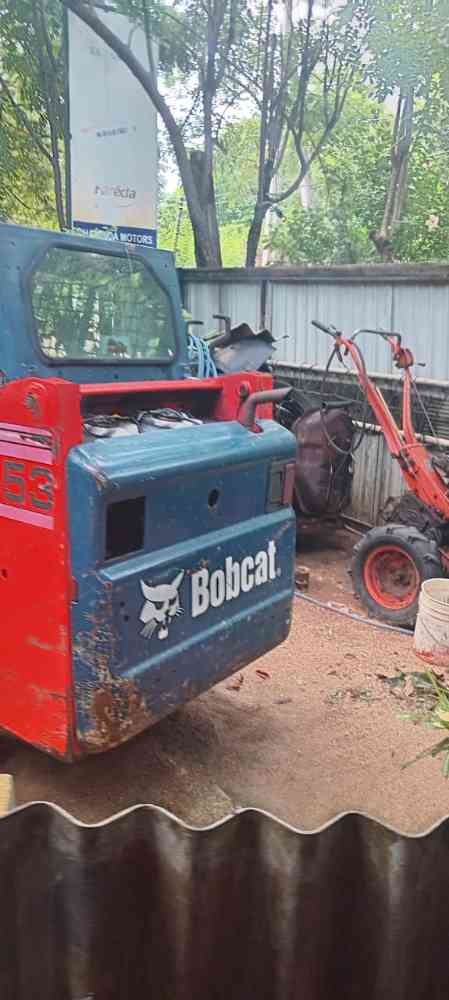 Bobcat