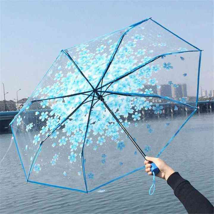 Transparent umbrella