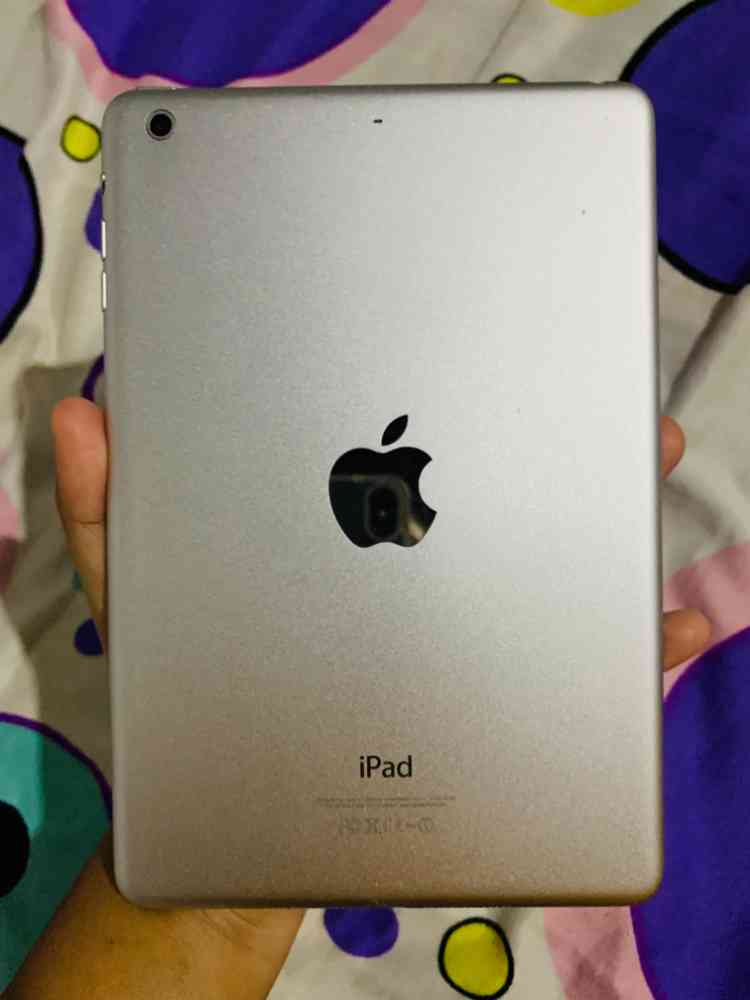iPad mini 2