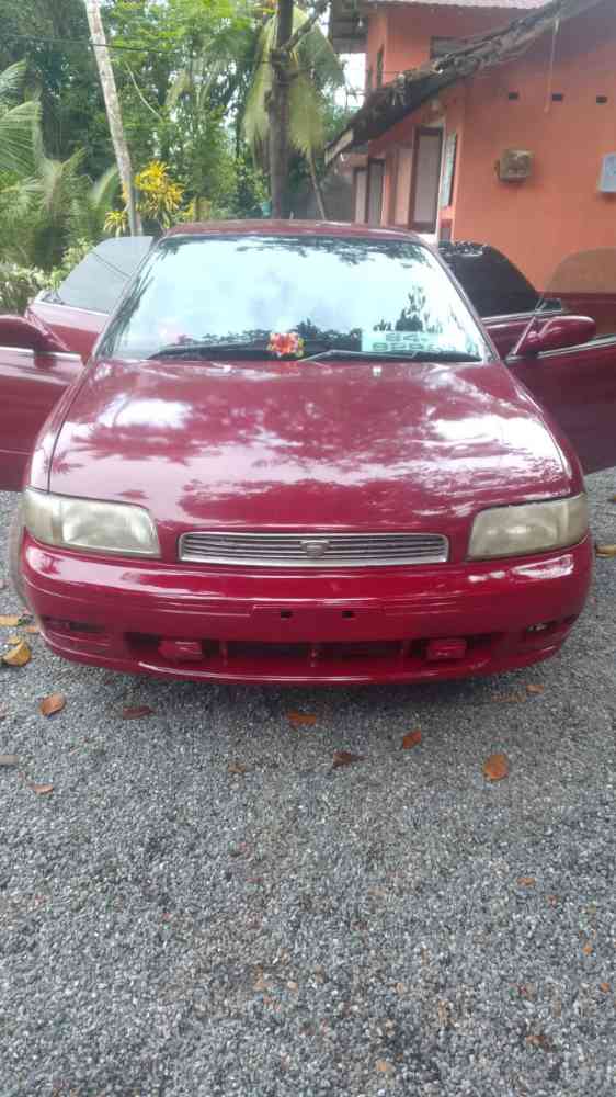 Nissan bluebird