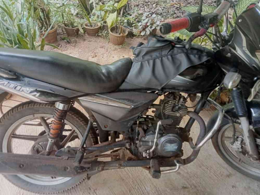 Bajaj paltina