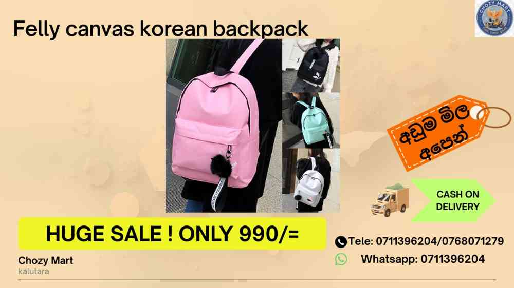 Korean backpack