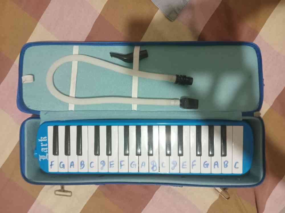 Lark melodica