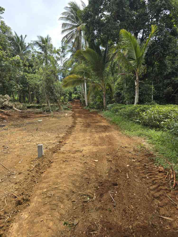 Land for sale in balangoda