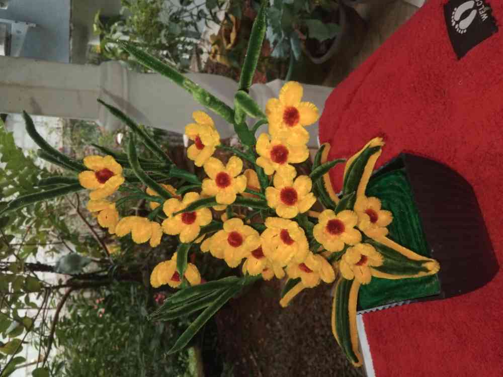 Pipe cleaners flowers pot