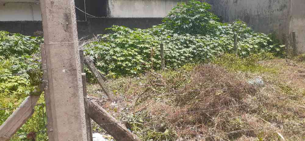 Bare land for sale in a prime location