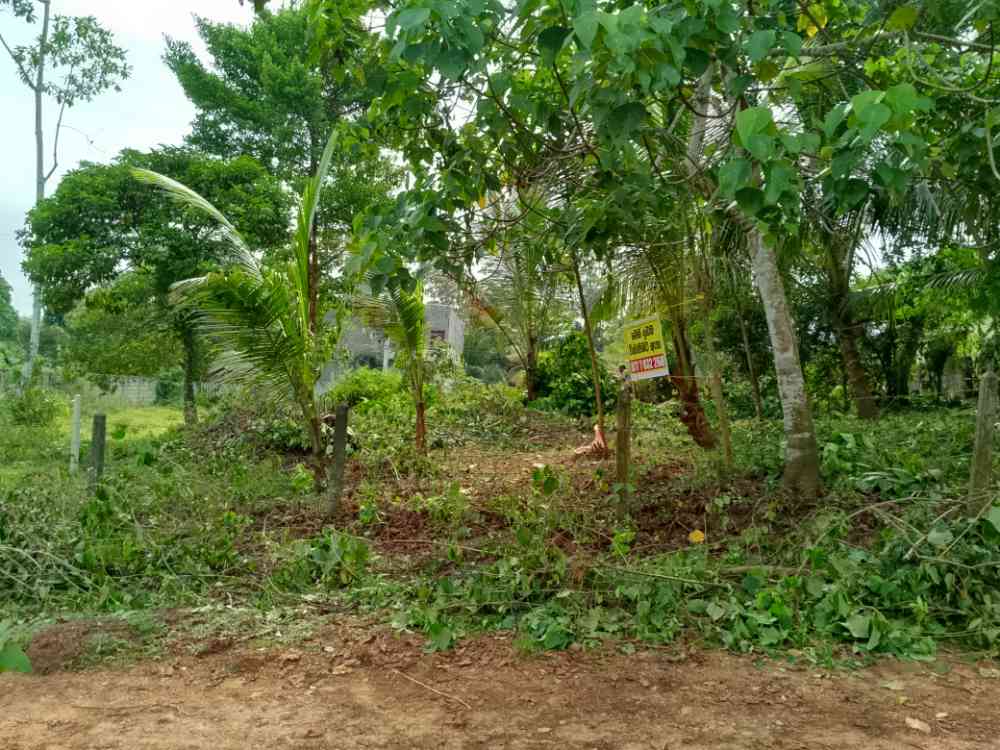 Land for sale