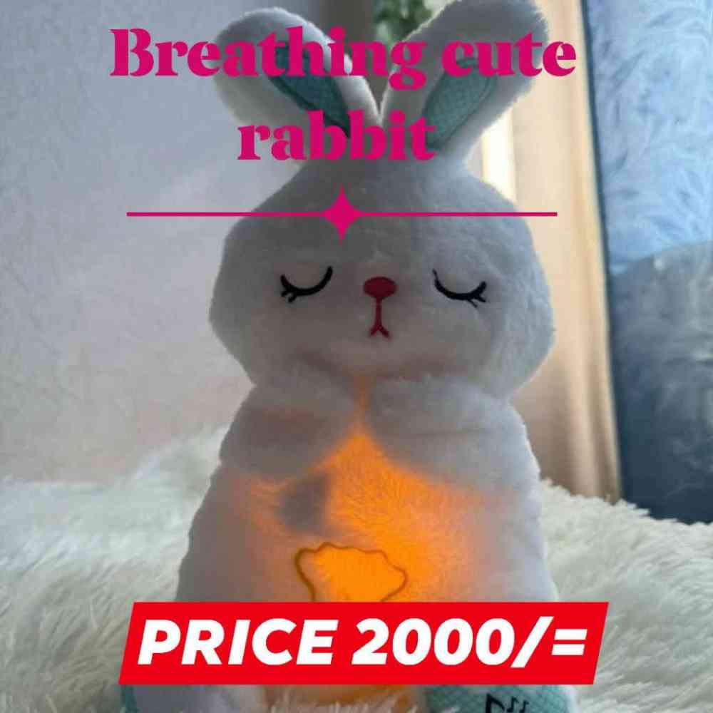 Breathing cute rabbit