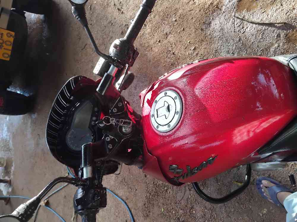 Pulser 150