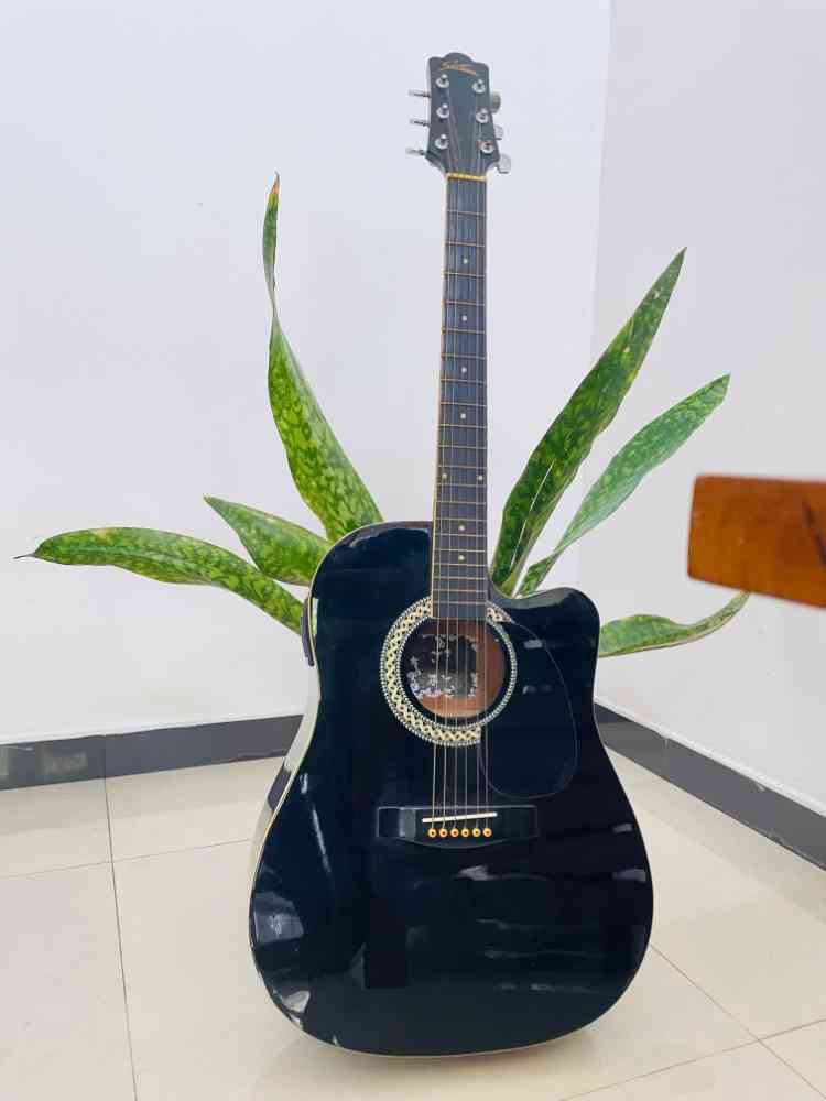 Acoustic electric guitar
