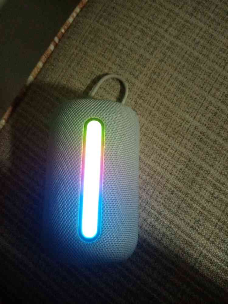 Celebrate Sp 20 Speaker