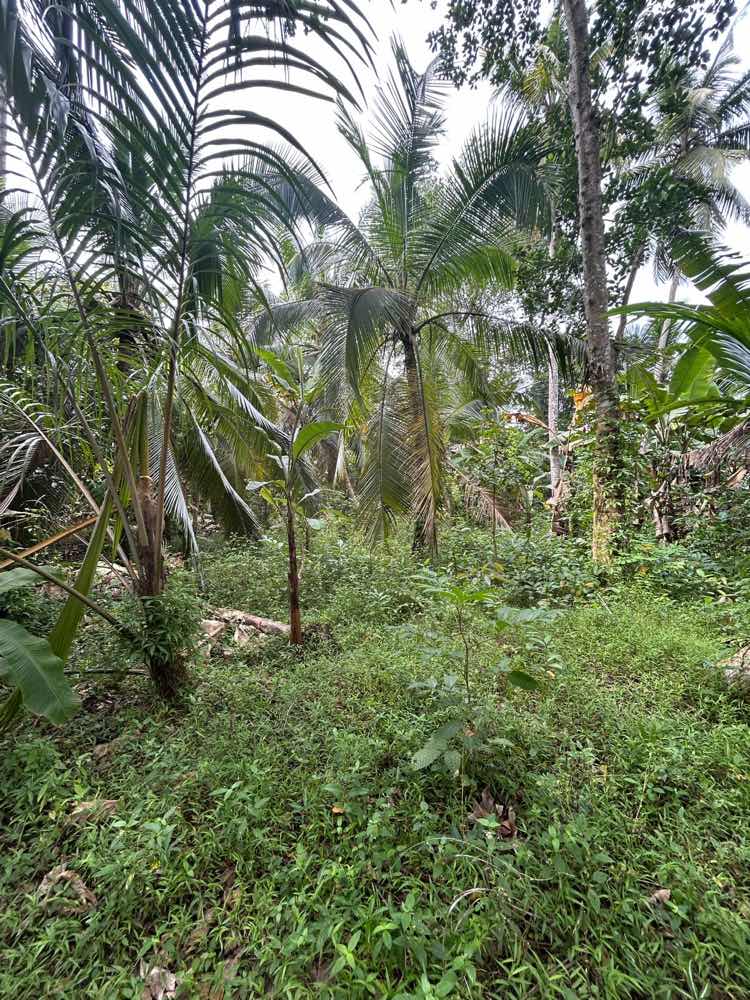 Land for sale in hikkaduwa
