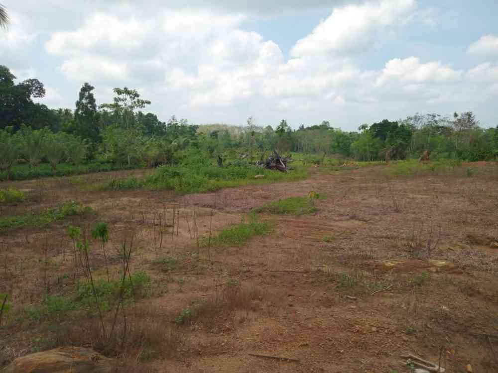 Land for sale in horana