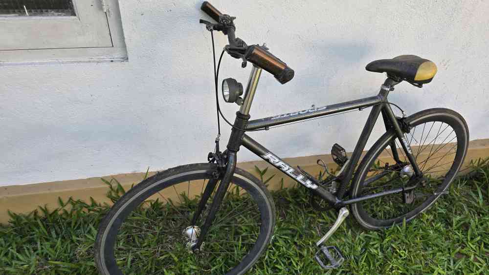 Rally alloy bicycle