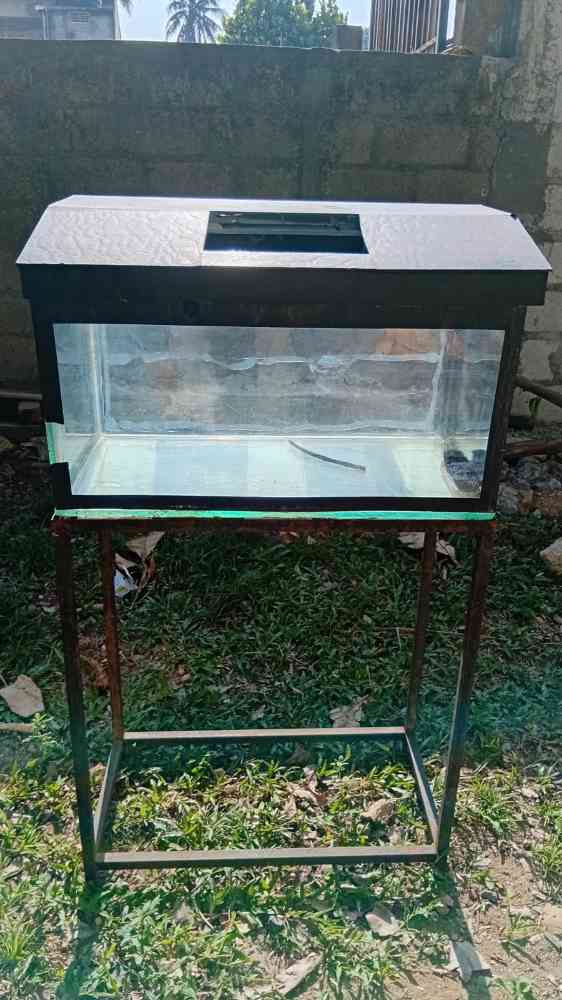 Fish tank for sale