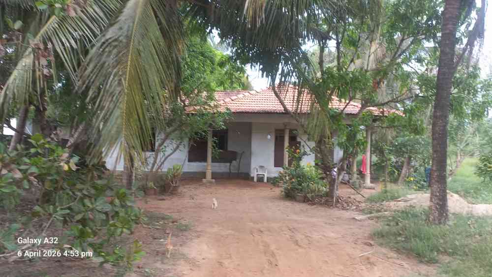 Land and house for sale