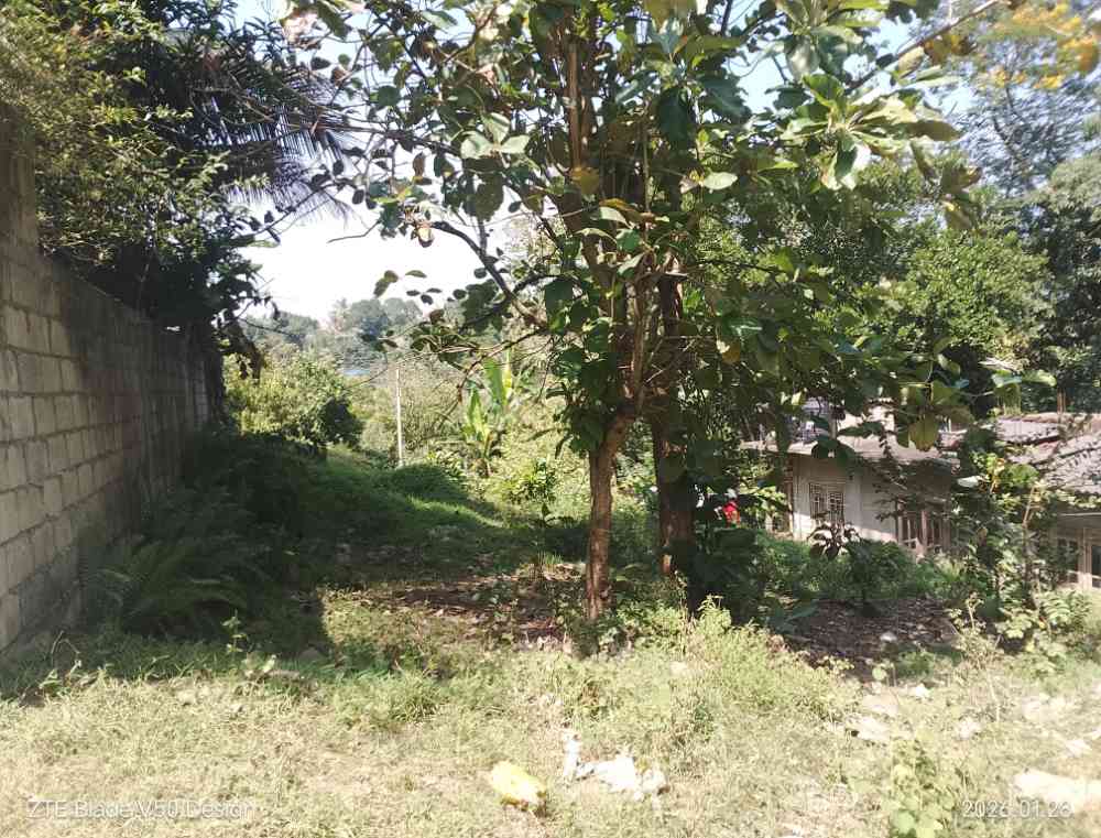 Land for sale in kandy