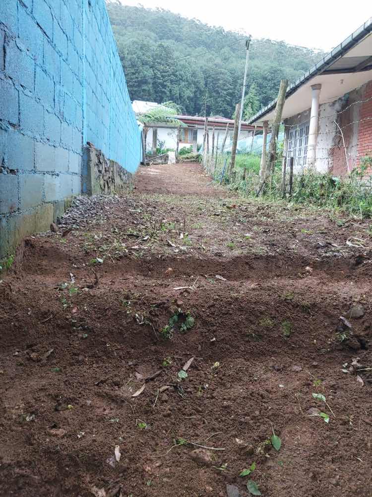Land for sale in nuwara eliya