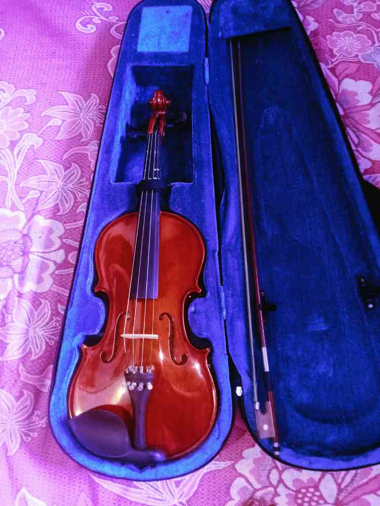 Super lark violin
