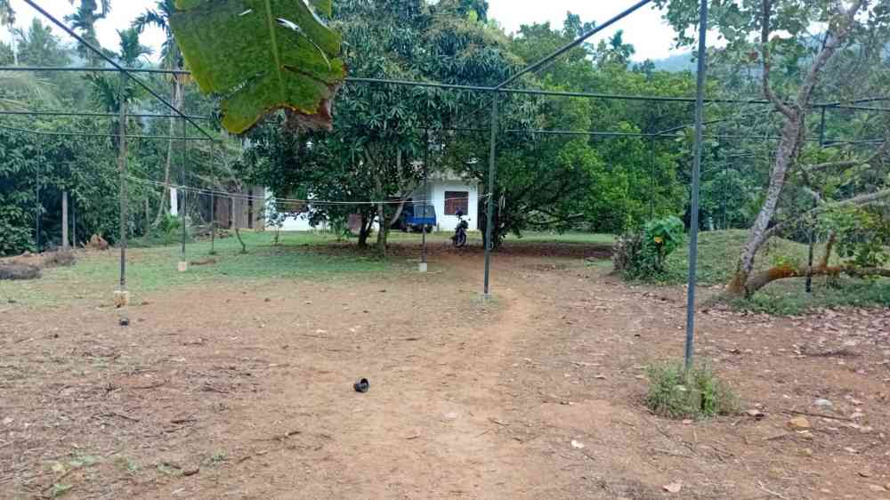 Ideal for eco tourism for rent