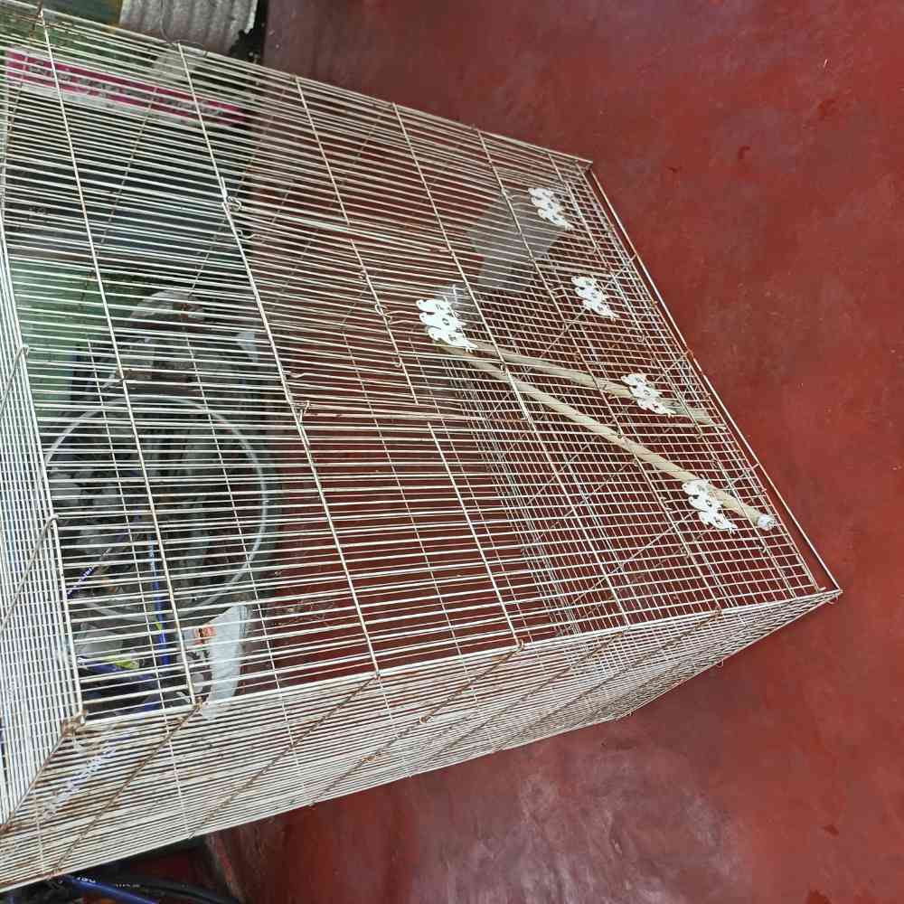 Used bird cage