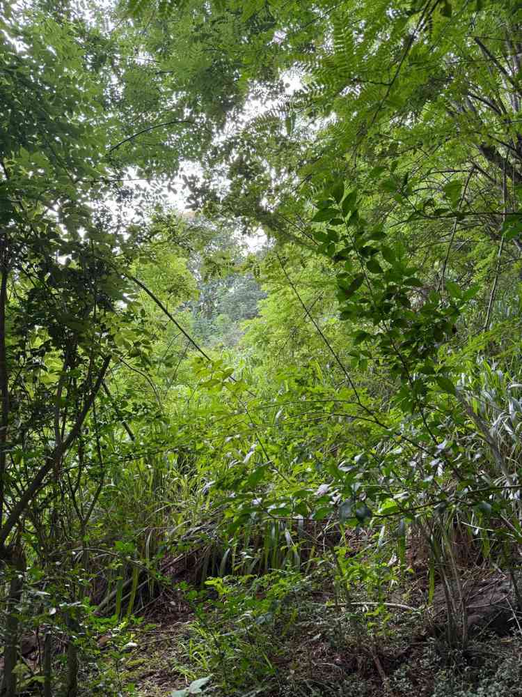 Tourism investment land in unakuruwa tangalle
