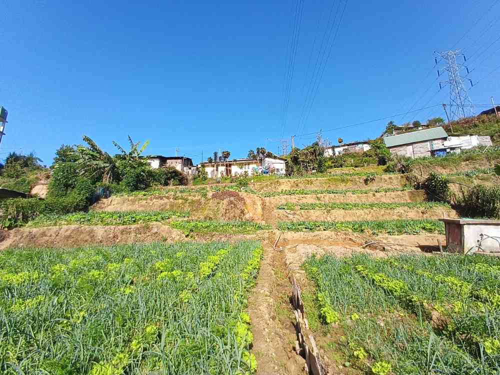 Agricultural land for sale